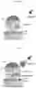 Fig. 04 - SENSING MATERIAL FOR HIGH SENSITIVITY AND SELECTIVITY