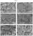 Fig. 06 - SENSING MATERIAL FOR HIGH SENSITIVITY AND SELECTIVITY