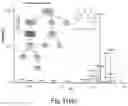 Fig. 14 - Early warning method before occurrence of aflatoxin contamination