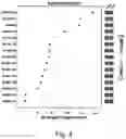 Fig. 05 - AFLATOXIN CONTAMINATION RISK WARNING MOLECULE AND USE THEREOF