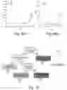 Fig. 09 - AFLATOXIN CONTAMINATION RISK WARNING MOLECULE AND USE THEREOF