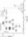Fig. 10 - AFLATOXIN CONTAMINATION RISK WARNING MOLECULE AND USE THEREOF