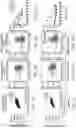 Fig. 04 - SIRPa EXPRESSION ON T CELLS IS A BIOMARKER FOR FUNCTIONAL T CELLS DURING EXHAUSTION