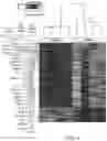 Fig. 06 - SIRPa EXPRESSION ON T CELLS IS A BIOMARKER FOR FUNCTIONAL T CELLS DURING EXHAUSTION