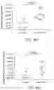 Fig. 12 - SIRPa EXPRESSION ON T CELLS IS A BIOMARKER FOR FUNCTIONAL T CELLS DURING EXHAUSTION