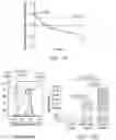 Fig. 13 - SIRPa EXPRESSION ON T CELLS IS A BIOMARKER FOR FUNCTIONAL T CELLS DURING EXHAUSTION