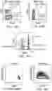 Fig. 15 - SIRPa EXPRESSION ON T CELLS IS A BIOMARKER FOR FUNCTIONAL T CELLS DURING EXHAUSTION
