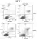 Fig. 08 - TREATMENT OF DISEASES WITH MULTIMERIC PEPTIDES