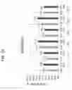 Fig. 13 - TREATMENT OF DISEASES WITH MULTIMERIC PEPTIDES