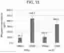 Fig. 18 - TREATMENT OF DISEASES WITH MULTIMERIC PEPTIDES