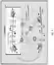 Fig. 08 - METHODS AND ASSAYS FOR MODULATING GENE TRANSCRIPTION BY MODULATING CONDENSATES