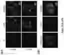 Fig. 12 - METHODS AND ASSAYS FOR MODULATING GENE TRANSCRIPTION BY MODULATING CONDENSATES