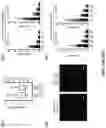 Fig. 26 - METHODS AND ASSAYS FOR MODULATING GENE TRANSCRIPTION BY MODULATING CONDENSATES