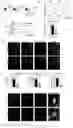 Fig. 28 - METHODS AND ASSAYS FOR MODULATING GENE TRANSCRIPTION BY MODULATING CONDENSATES