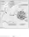 Fig. 58 - METHODS AND ASSAYS FOR MODULATING GENE TRANSCRIPTION BY MODULATING CONDENSATES