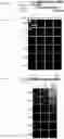 Fig. 64 - METHODS AND ASSAYS FOR MODULATING GENE TRANSCRIPTION BY MODULATING CONDENSATES