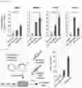 Fig. 68 - METHODS AND ASSAYS FOR MODULATING GENE TRANSCRIPTION BY MODULATING CONDENSATES