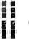 Fig. 77 - METHODS AND ASSAYS FOR MODULATING GENE TRANSCRIPTION BY MODULATING CONDENSATES