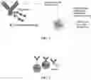Fig. 03 - METHODS, REAGENTS, AND SUBSTRATES FOR DETECTING TARGET ANALYTES