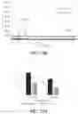 Fig. 18 - METHODS, REAGENTS, AND SUBSTRATES FOR DETECTING TARGET ANALYTES