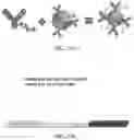Fig. 34 - METHODS, REAGENTS, AND SUBSTRATES FOR DETECTING TARGET ANALYTES