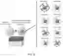 Fig. 36 - METHODS, REAGENTS, AND SUBSTRATES FOR DETECTING TARGET ANALYTES