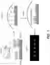 Fig. 02 - CHIPS, DETECTORS, AND METHODS OF MAKING AND USING THE SAME