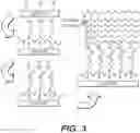 Fig. 05 - CHIPS, DETECTORS, AND METHODS OF MAKING AND USING THE SAME