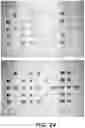 Fig. 26 - CHIPS, DETECTORS, AND METHODS OF MAKING AND USING THE SAME