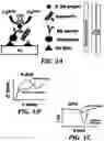 Fig. 02 - CELL-FREE BIOFRAGMENT COMPOSITIONS AND RELATED SYSTEMS, DEVICES, AND METHODS
