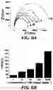 Fig. 08 - CELL-FREE BIOFRAGMENT COMPOSITIONS AND RELATED SYSTEMS, DEVICES, AND METHODS