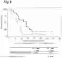 Fig. 07 - METHOD FOR SELECTING SUBJECT LIKELY BENEFITING FROM PHARMACEUTICAL COMPOSITION FOR TREATING OR PREVENTING CANCER