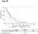 Fig. 11 - METHOD FOR SELECTING SUBJECT LIKELY BENEFITING FROM PHARMACEUTICAL COMPOSITION FOR TREATING OR PREVENTING CANCER