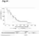 Fig. 12 - METHOD FOR SELECTING SUBJECT LIKELY BENEFITING FROM PHARMACEUTICAL COMPOSITION FOR TREATING OR PREVENTING CANCER