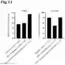 Fig. 14 - METHOD FOR SELECTING SUBJECT LIKELY BENEFITING FROM PHARMACEUTICAL COMPOSITION FOR TREATING OR PREVENTING CANCER