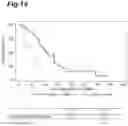 Fig. 15 - METHOD FOR SELECTING SUBJECT LIKELY BENEFITING FROM PHARMACEUTICAL COMPOSITION FOR TREATING OR PREVENTING CANCER