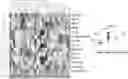 Fig. 01 - Circulating tumor markers for meningiomas