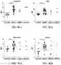 Fig. 03 - Circulating tumor markers for meningiomas