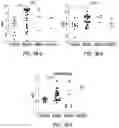 Fig. 04 - Circulating tumor markers for meningiomas
