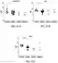 Fig. 06 - Circulating tumor markers for meningiomas