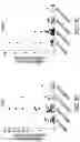 Fig. 10 - Circulating tumor markers for meningiomas