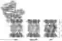 Fig. 01 - METHOD AND COMPOSITION MATTER FOR IMMUNOPROTEASOME-MEDIATED DELIVERY INTO LIVING CELLS