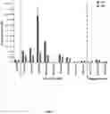 Fig. 07 - METHOD AND COMPOSITION MATTER FOR IMMUNOPROTEASOME-MEDIATED DELIVERY INTO LIVING CELLS