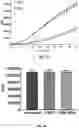 Fig. 15 - METHOD AND COMPOSITION MATTER FOR IMMUNOPROTEASOME-MEDIATED DELIVERY INTO LIVING CELLS