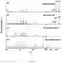 Fig. 04 - METHOD AND DEVICE FOR PROTEIN SEQUENCE ANALYSIS