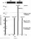 Fig. 08 - METHOD AND DEVICE FOR PROTEIN SEQUENCE ANALYSIS