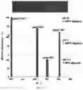 Fig. 09 - METHOD AND DEVICE FOR PROTEIN SEQUENCE ANALYSIS