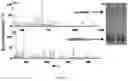 Fig. 10 - METHOD AND DEVICE FOR PROTEIN SEQUENCE ANALYSIS
