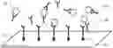 Fig. 01 - METHODS FOR DETECTION AND CHARACTERIZATION OF ANTI-VIRAL VECTOR ANTIBODIES