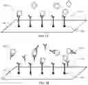Fig. 02 - METHODS FOR DETECTION AND CHARACTERIZATION OF ANTI-VIRAL VECTOR ANTIBODIES